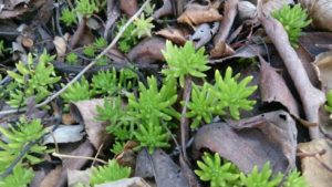 朗読絵本「まほうのえのぐ」