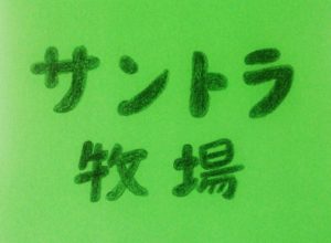 手作り絵本と音楽「クリスマスお楽しみ会」