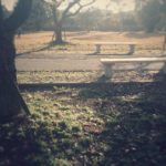 バス停のおじいさん