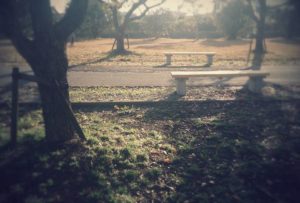 バス停のおじいさん