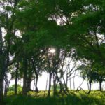 はじめまして、ようこそ！！