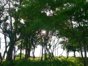 はじめまして、ようこそ！！